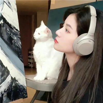 感官妄想 海报