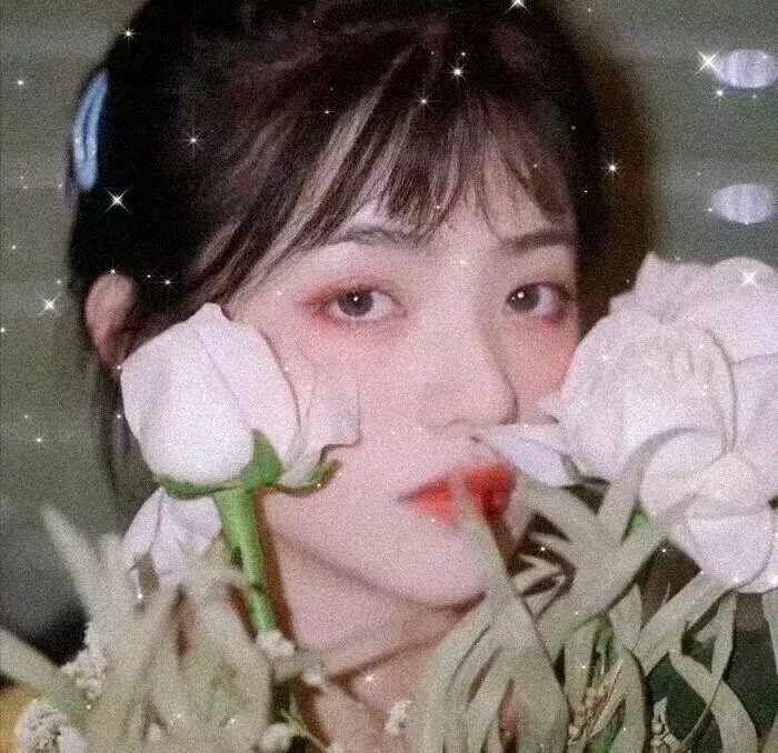克莱儿的相机 海报