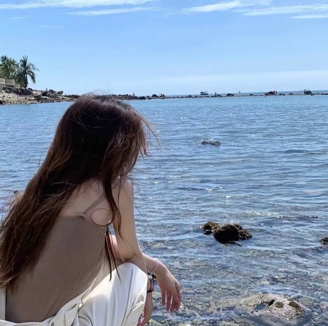 菜英文没在怕 海报